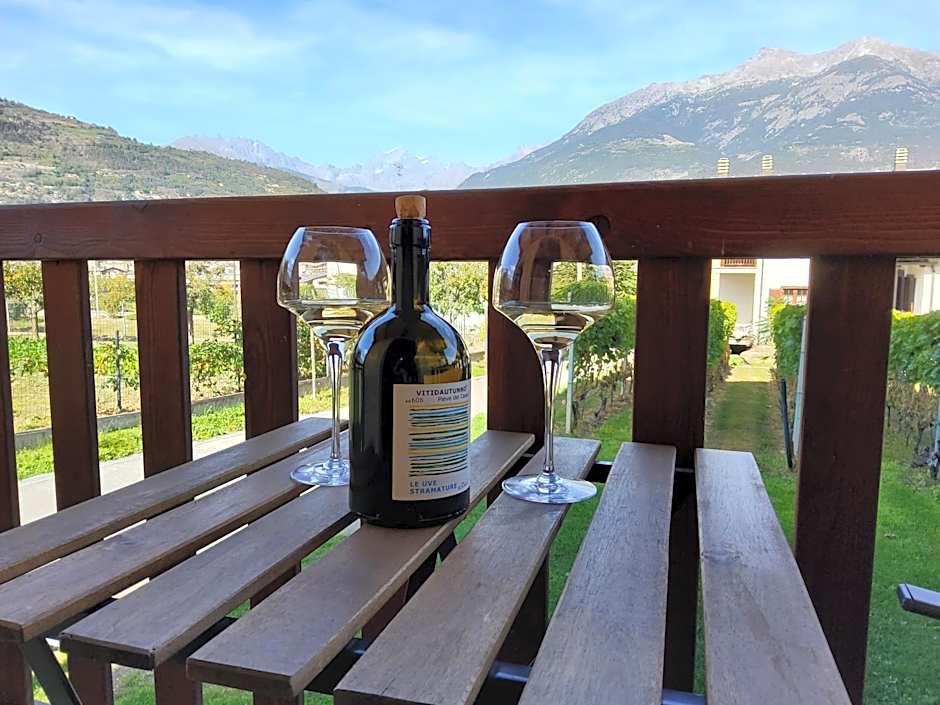 La Vigne de Papagran