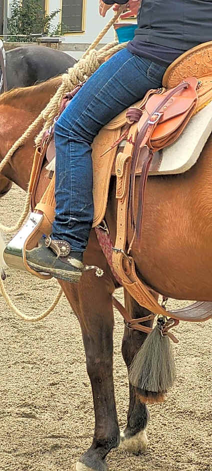 Der Blankhof "Back to Roots"