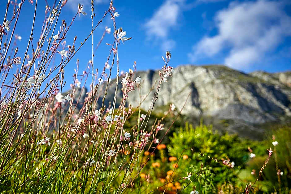 The Thatch House Boutique Hotel, Hermanus
