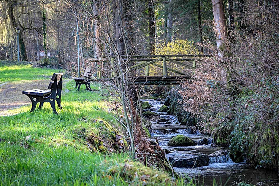 living TIMELESS - Adler Apartments Sasbachwalden