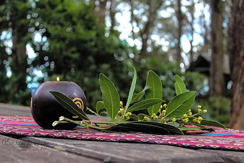 Tomah Retreat - Studio CHILL with fireplace and clawfoot bath