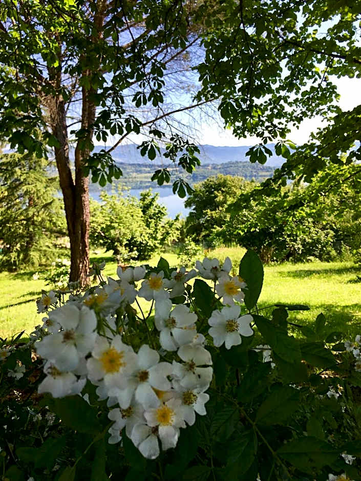 B&B Appartamenti Villa del lago