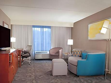 1 Bedroom 2 room Suite, 1 King, Sofa bed