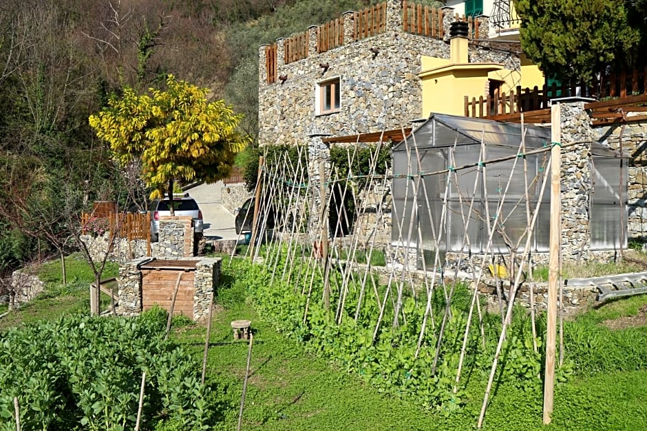 Cà de Pria