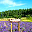 Furano - Hotel / Vacation STAY 35781