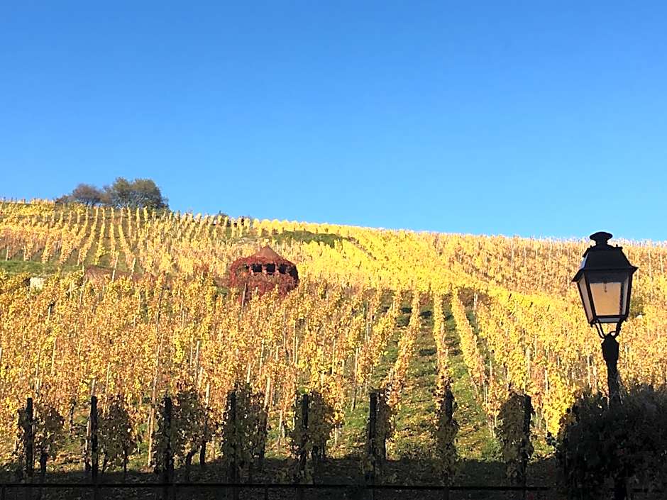 Laterale Residences Riquewihr