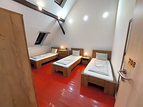 Triple Room with Shared Bathroom