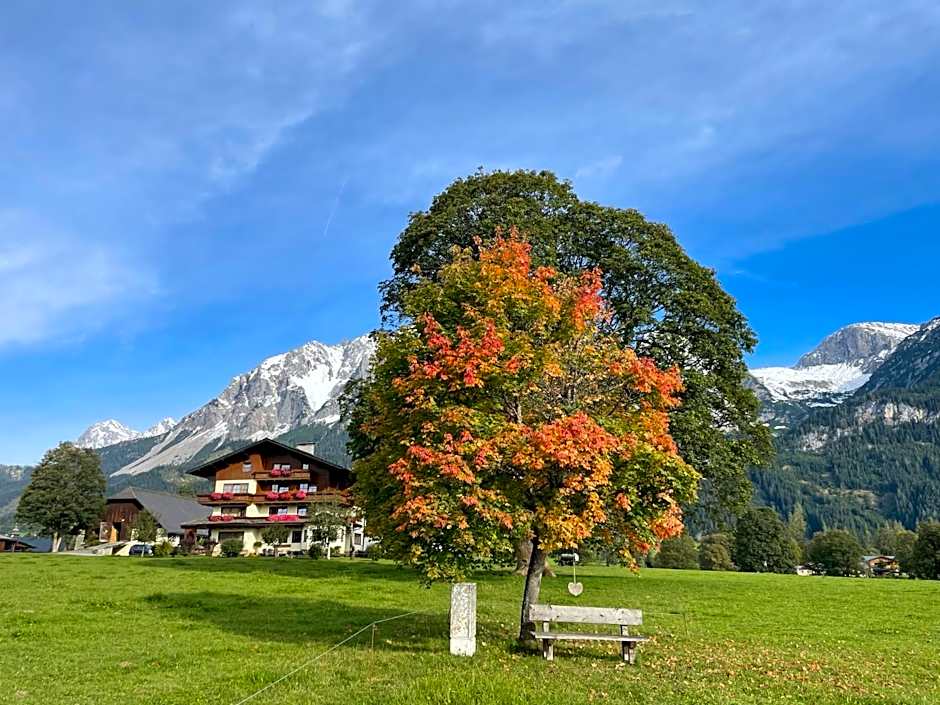 Pension Möslehnerhof