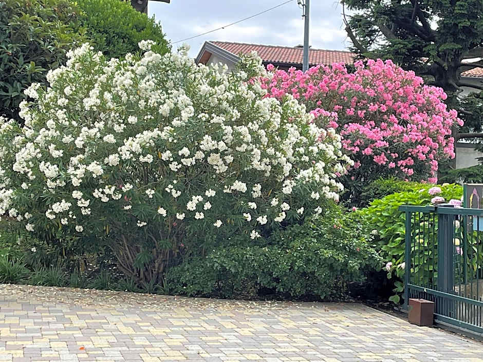 Bed & Breakfast L'Albero Maestro