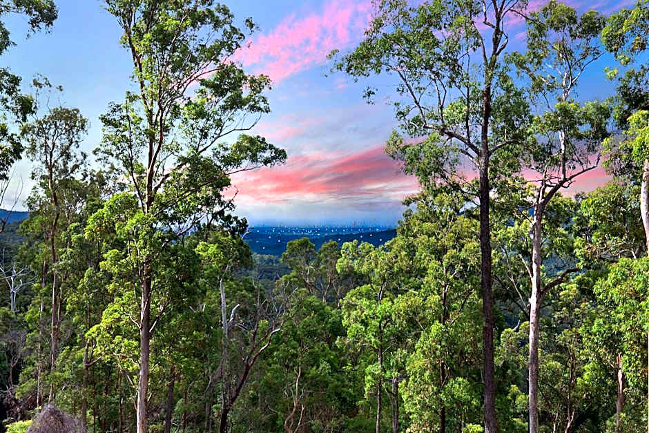 Gold Coast Tree Houses