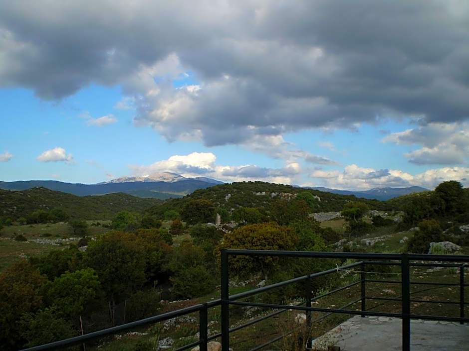 Arachovitika Kalivia