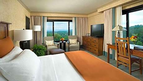 Premium Panorama Corner Room with 1 King Bed