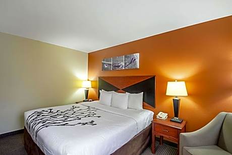 King Room - Accessible/Non-Smoking