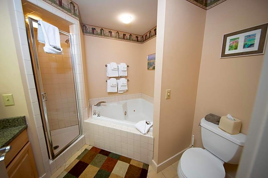 Solitude Village at Okemo