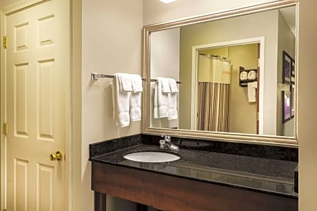1 King Bed Deluxe Room Non-Smoking
