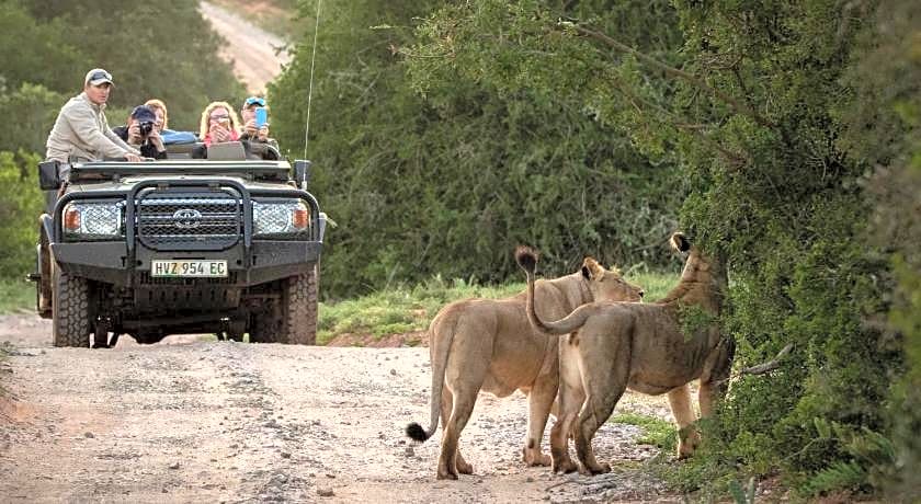 HillsNek Safari Camp
