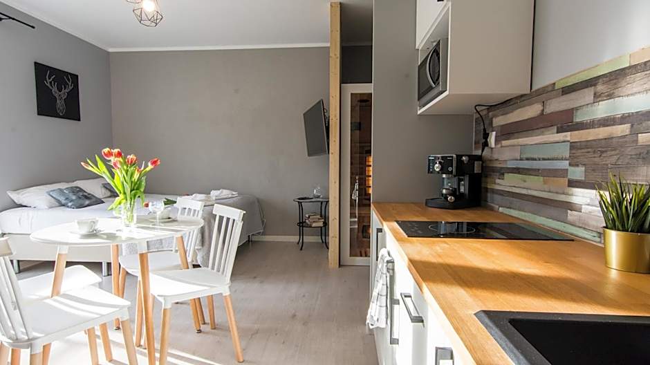 Apartamenty Izerskie - ul. Cicha 13F-G