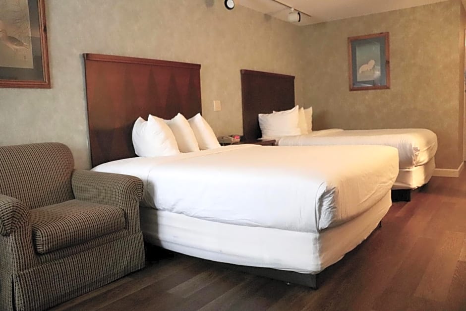 Senator Inn & Spa