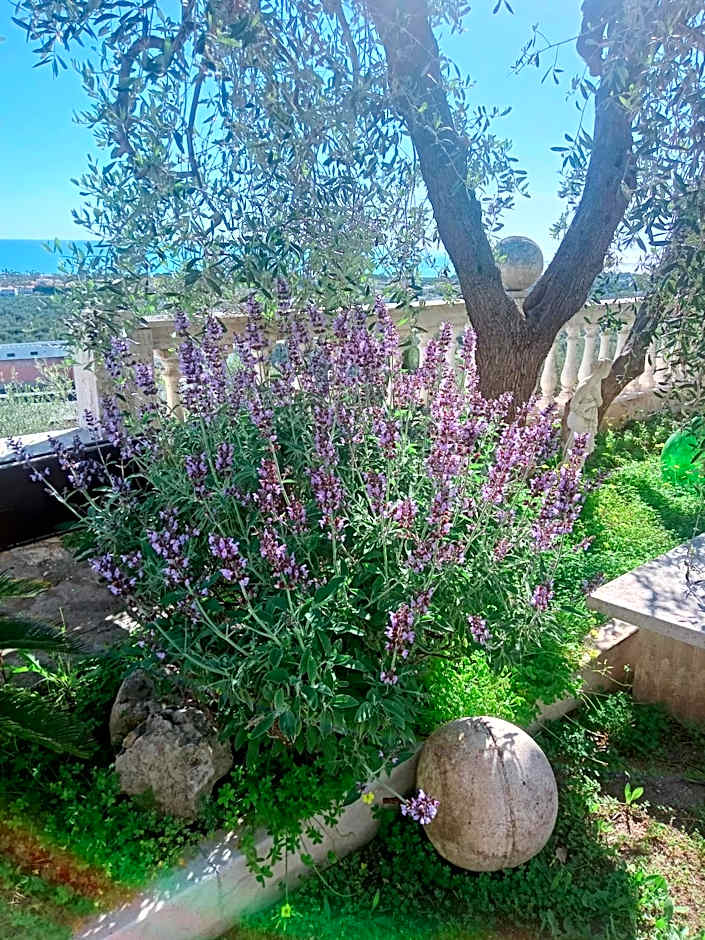 Residenza Collina Dei Pini