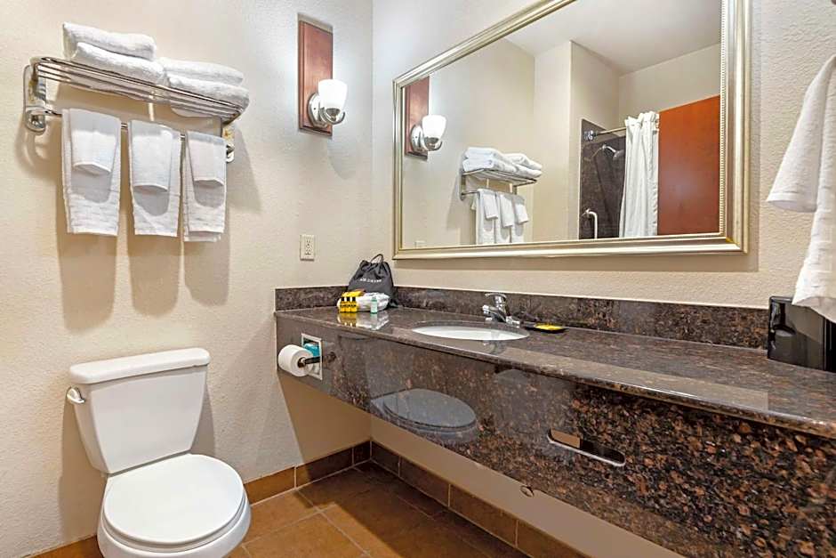 Best Western Plus Greenville South