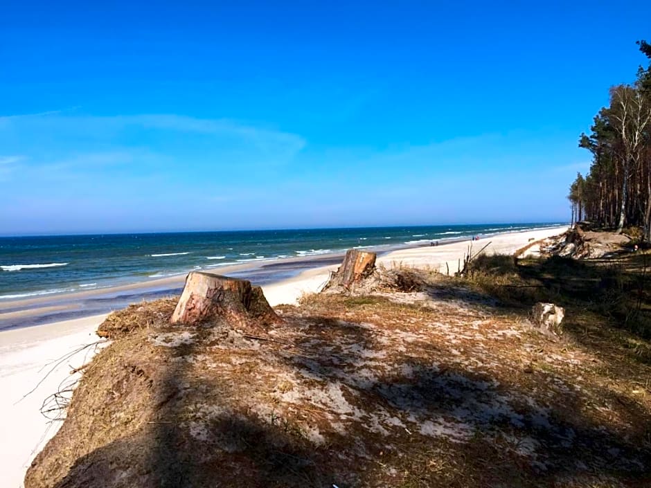 Domki nad morzem Sasino Mojo Miodno Checz