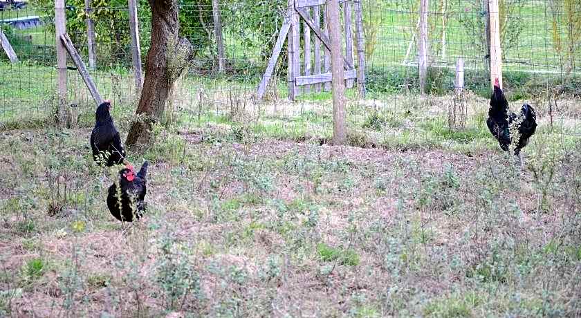 Ecogîte Rural La Clé des Champs