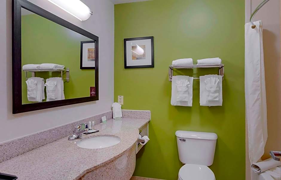 Sleep Inn & Suites Near Fort Gregg-Adams