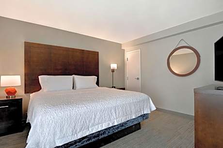 One-Bedroom King Suite with Sofa Bed - Non-Smoking
