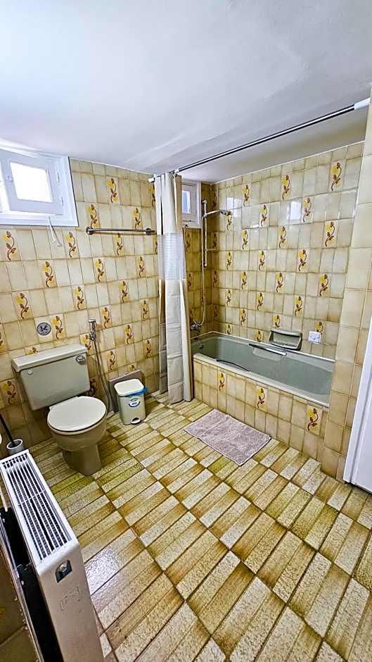 The Lemon Tree Hostel