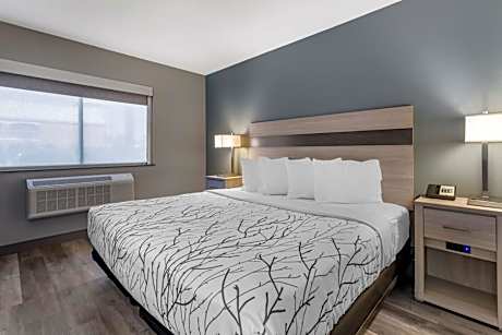 King Room - Pet Friendly/Non-Smoking