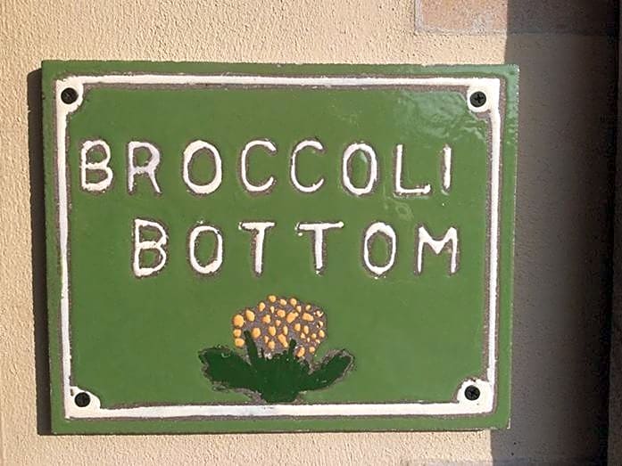 Broccoli Bottom