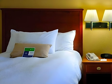 1 King Suite With Sofa Bed - Nonsmoking