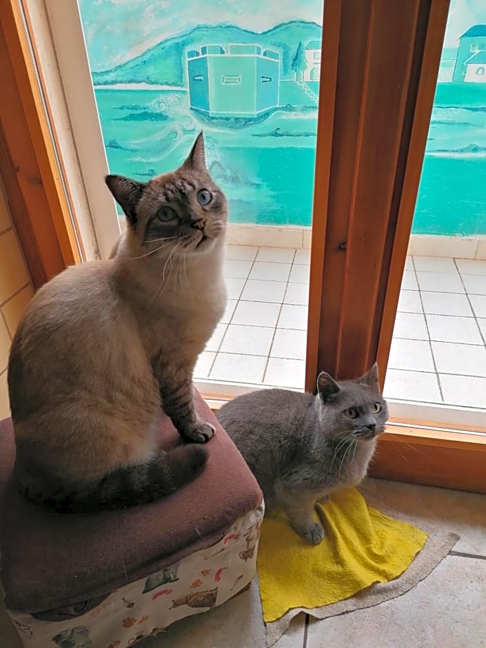 B&B Il Giardinetto Alghero