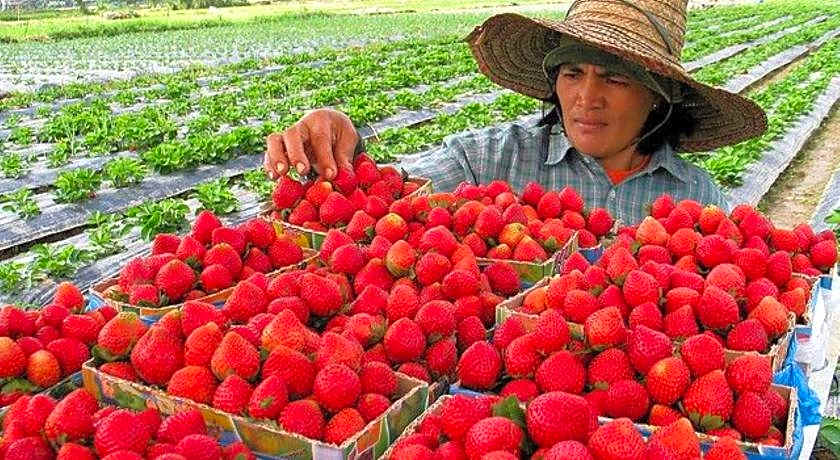 Gamal 360 Transient Baguio City