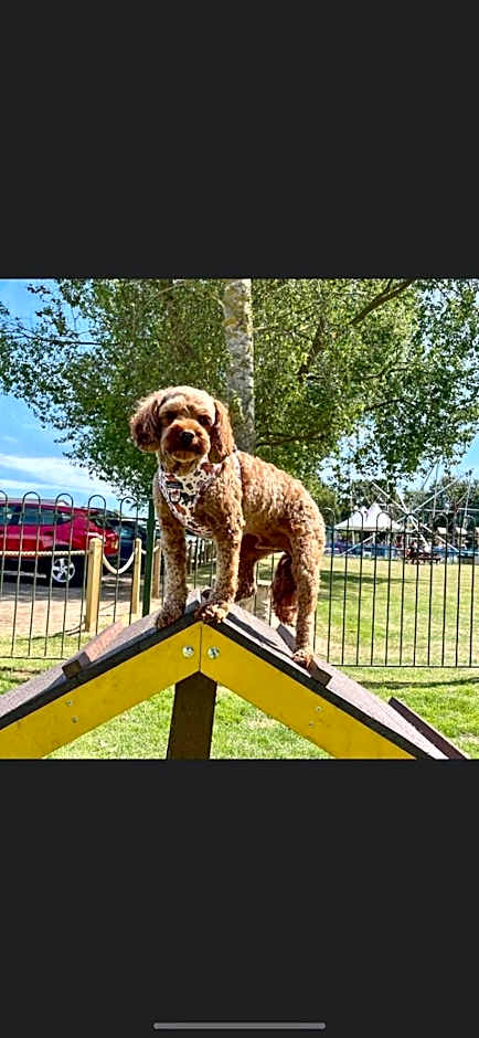 Southview Holiday Park, Deluxe Caravan