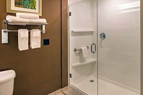 Executive Studio, 1 Bedroom (1 King Bed and 1 Double Sofa Bed)