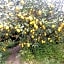 Lemontree House Bacoli