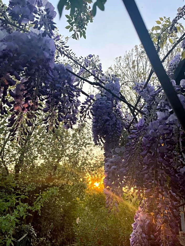 B&B Villa Giardini Susanna