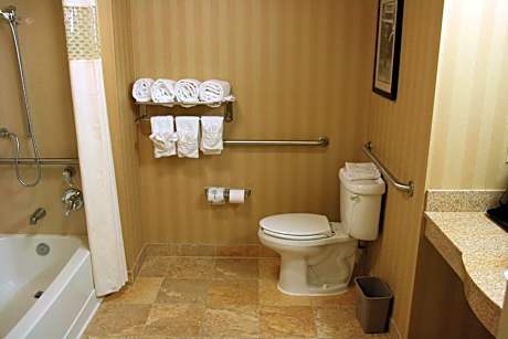 1 King Mobility/Hearing Access W/Tub Nonsmok