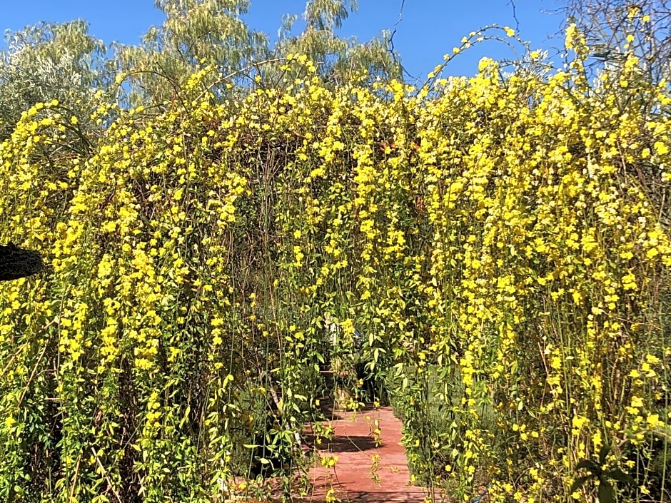 Sel d Ailleurs, Ouirgan - adults only