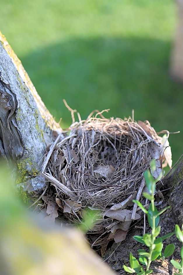 Midum LuxuryApartments con giardino