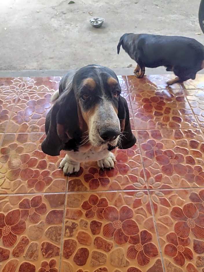 Mae Sot Commune and Camping 