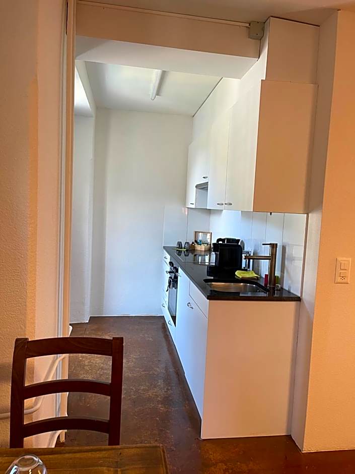 Hotel Swiss Bellevue Aathal