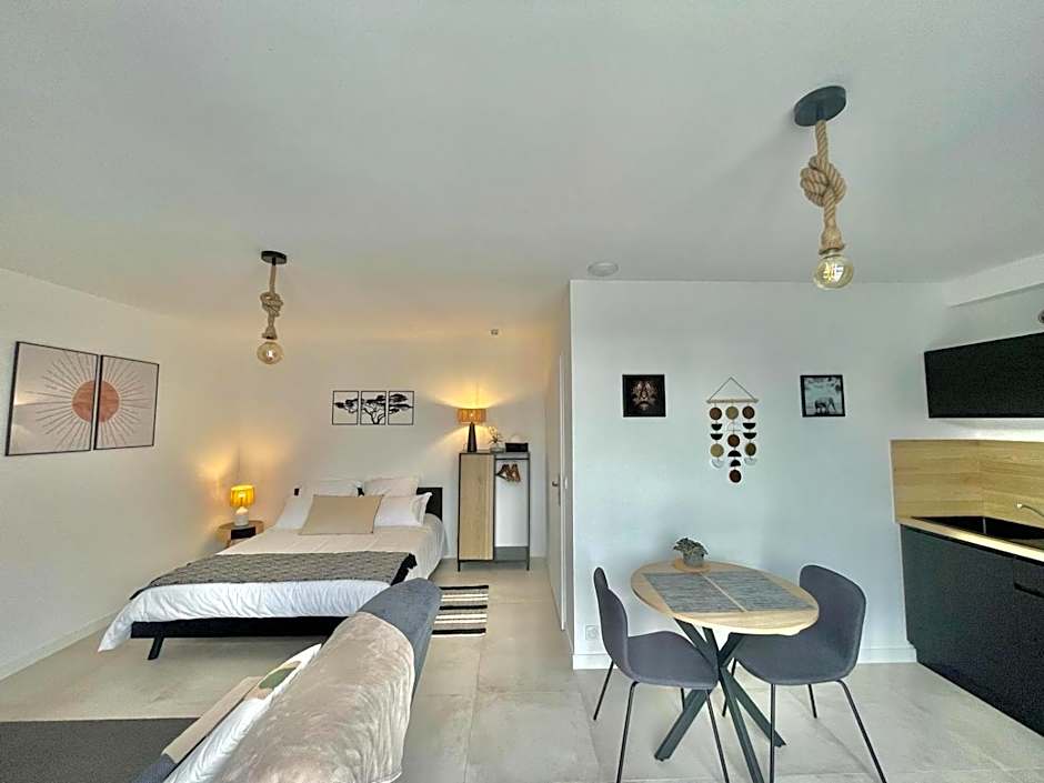 APPART'ICI 2 - Spacieux studio