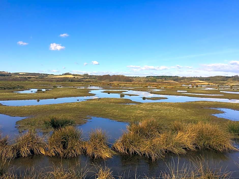 The Lodge On The Marsh