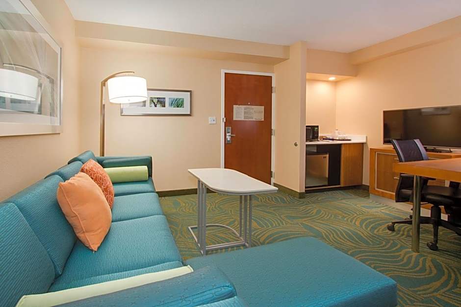 SpringHill Suites by Marriott Orlando Lake Buena Vista South