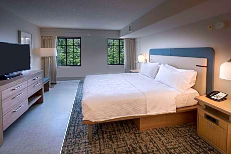 1 King Bed 1 Bedroom Suite With Washer/Dryer