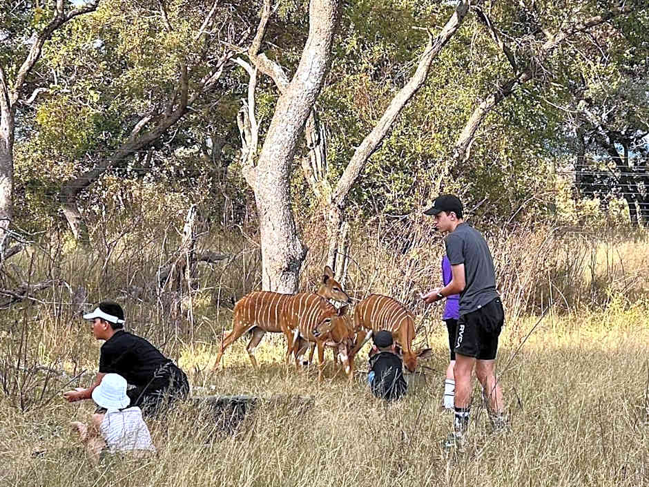 Kigeni Safari Lodge & Spa