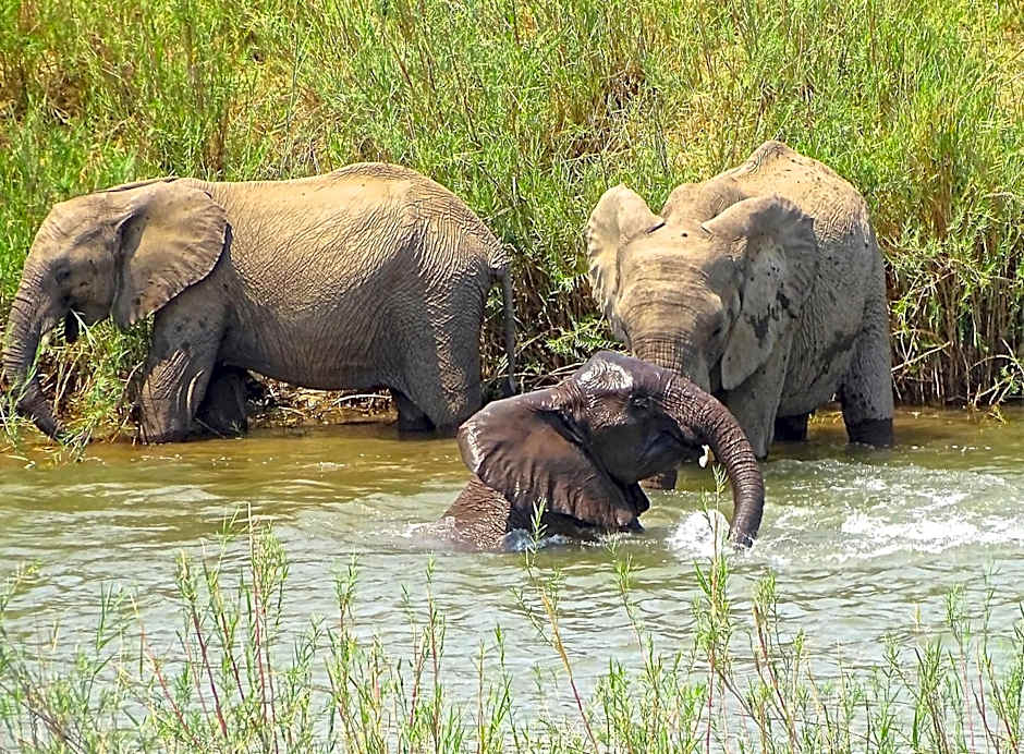 Emhosheni River Lodge