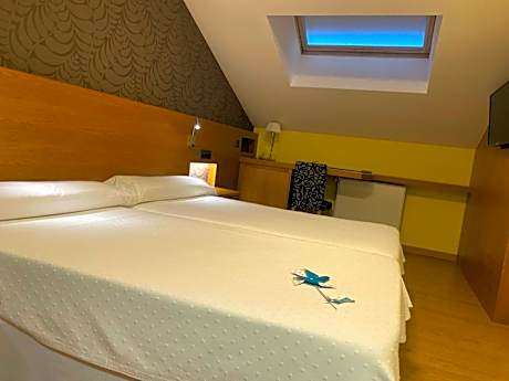 Double or Twin Room - Attic